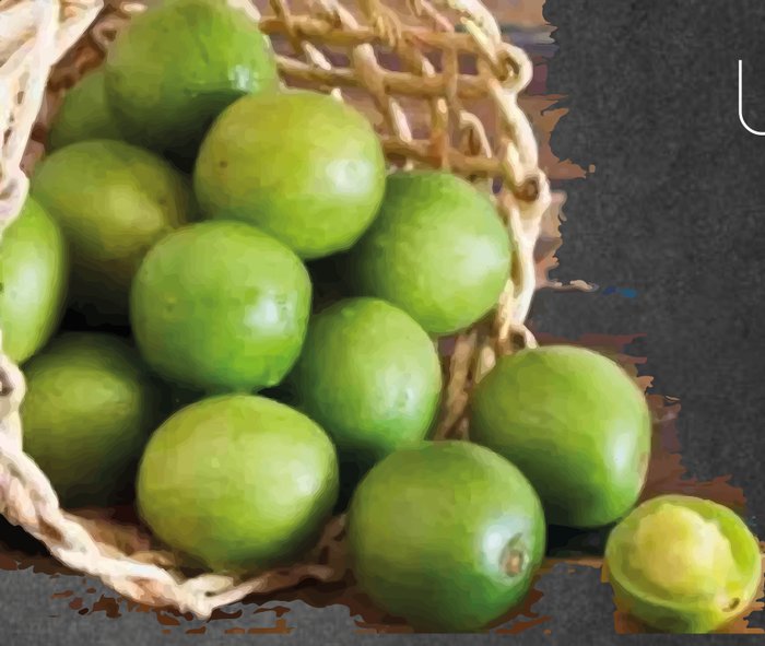 Kombucha Pirá sabor Umbu